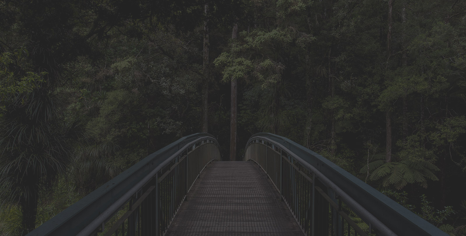 Meghalaya Explorer Tour